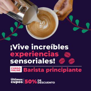 Persona texturizando el café y experimentando sensaciones sensoriales.